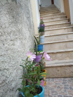 Villa Vasili